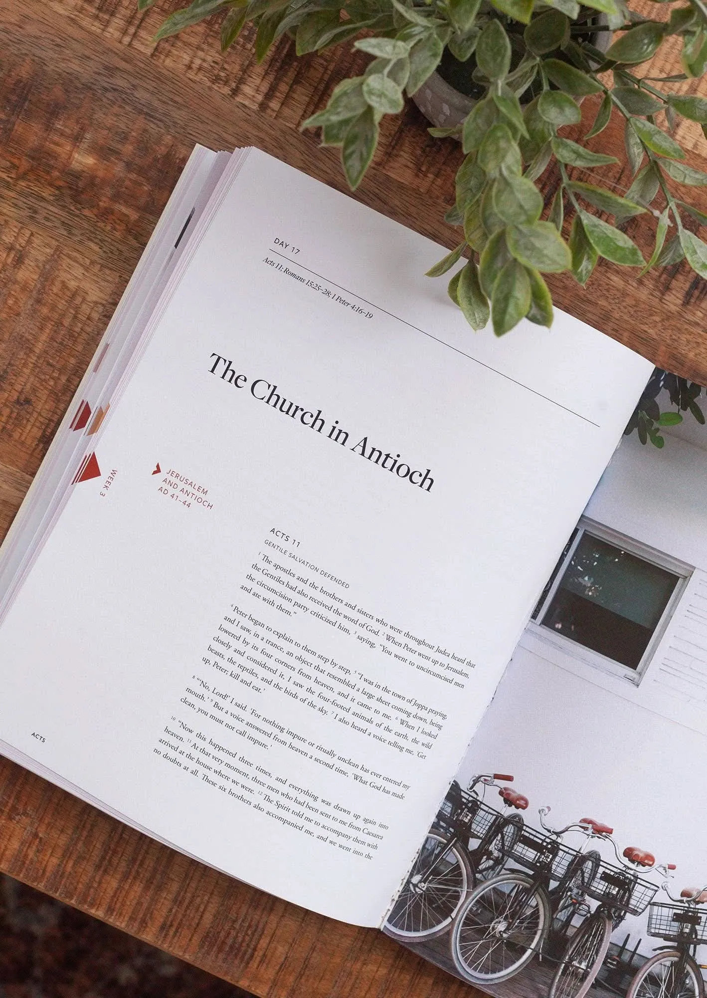 Acts Study Book | She Reads Truth