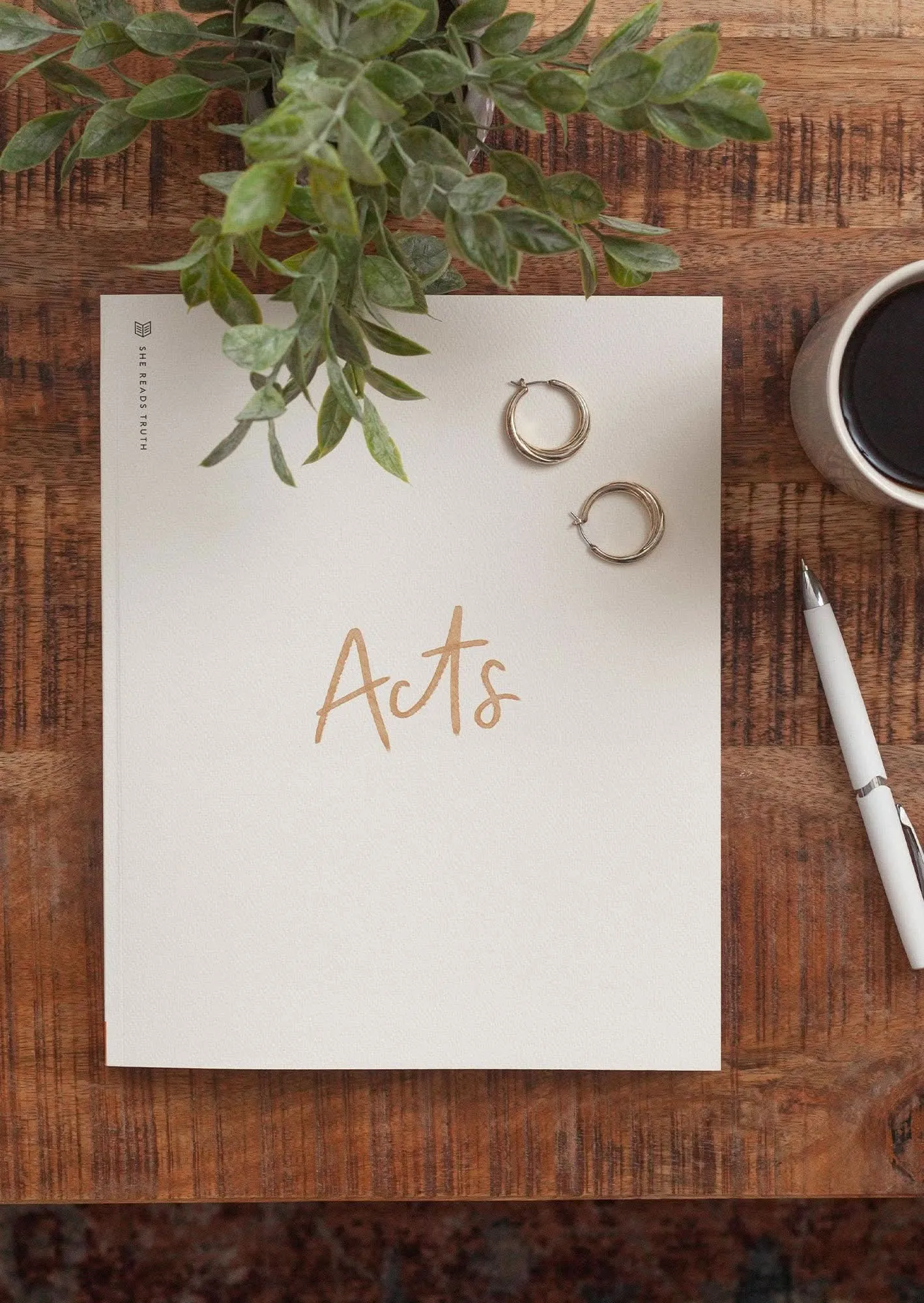 Acts Study Book | She Reads Truth