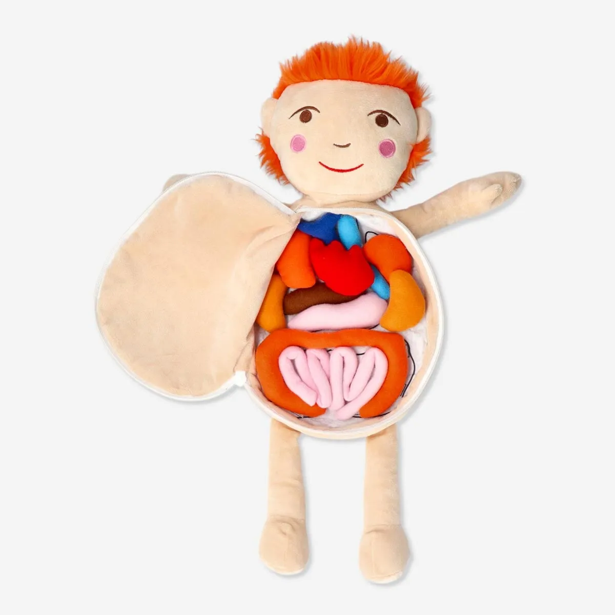 Anatomy doll