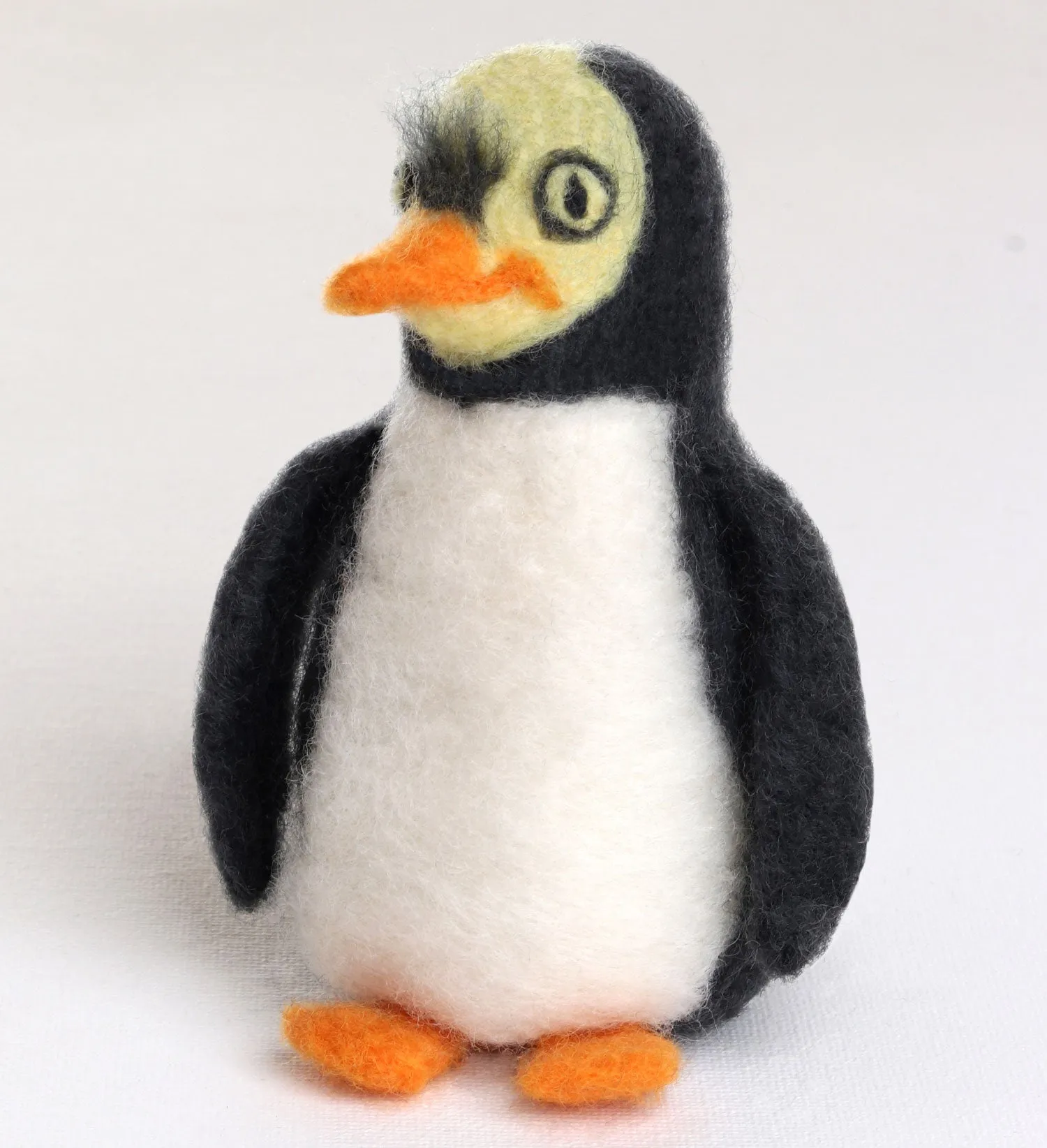 Ashford Complete Needle Felting Kits