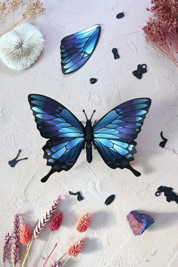 Blue Mountain Butterfly Kit