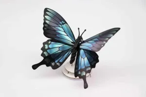Blue Mountain Butterfly Kit