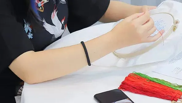 Cute Cartoon Animals Hand Embroidery Kit 20cm
