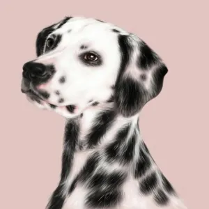 Dog  - Full Round Diamond - 30x30CM