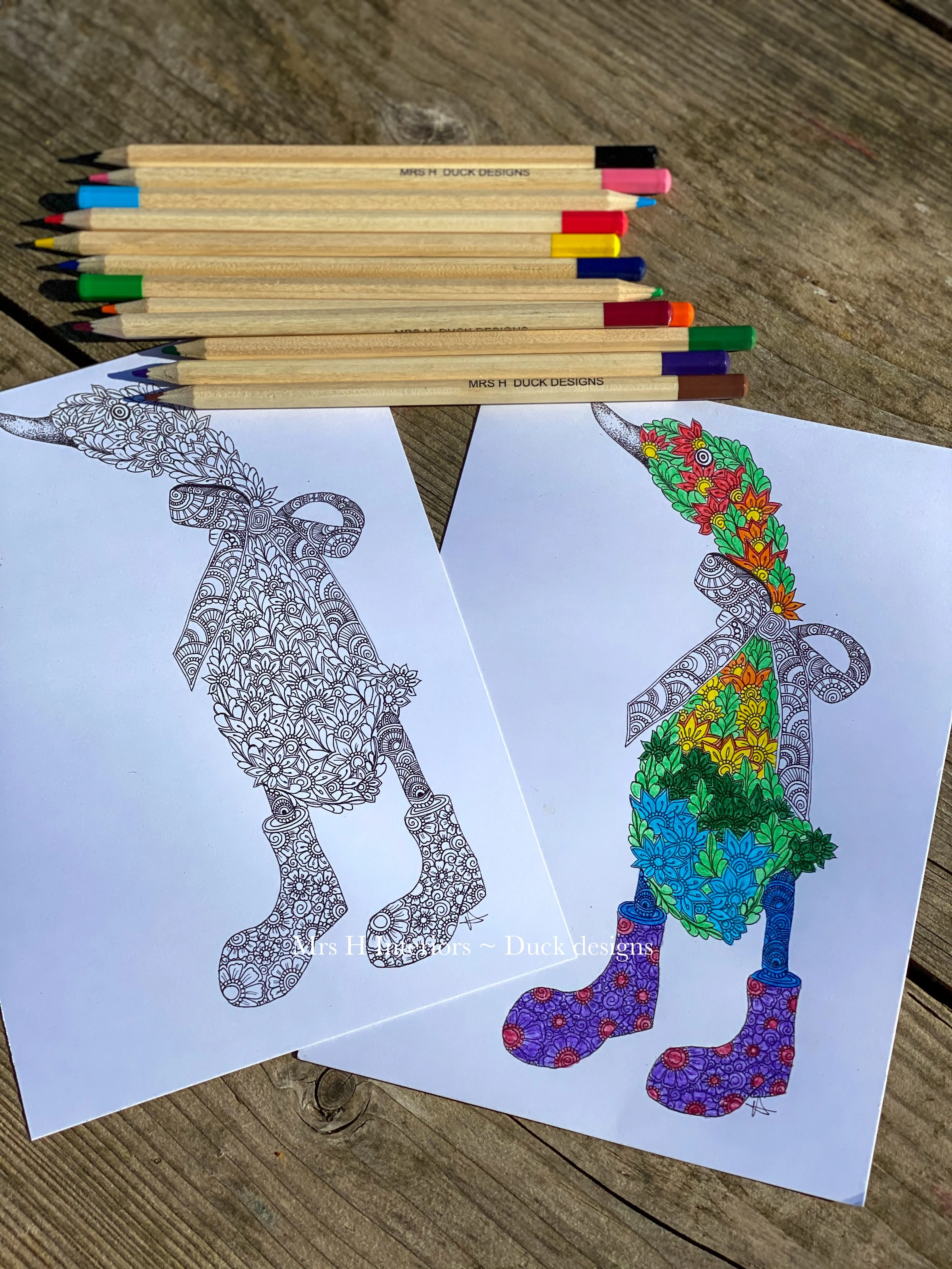 Duc~kit Craft Kit - Paper Colouring Kit