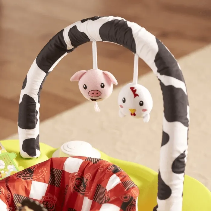 Evenflo Exer Saucer Playful Pastures