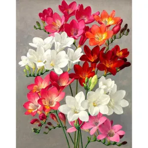Flowers  - Full Round Diamond - 30x40CM