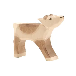 Reindeer Calf (28005) - Ostheimer
