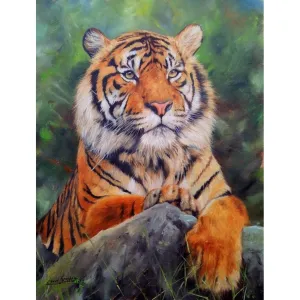 Tiger  - Full Round Diamond - 30x40CM