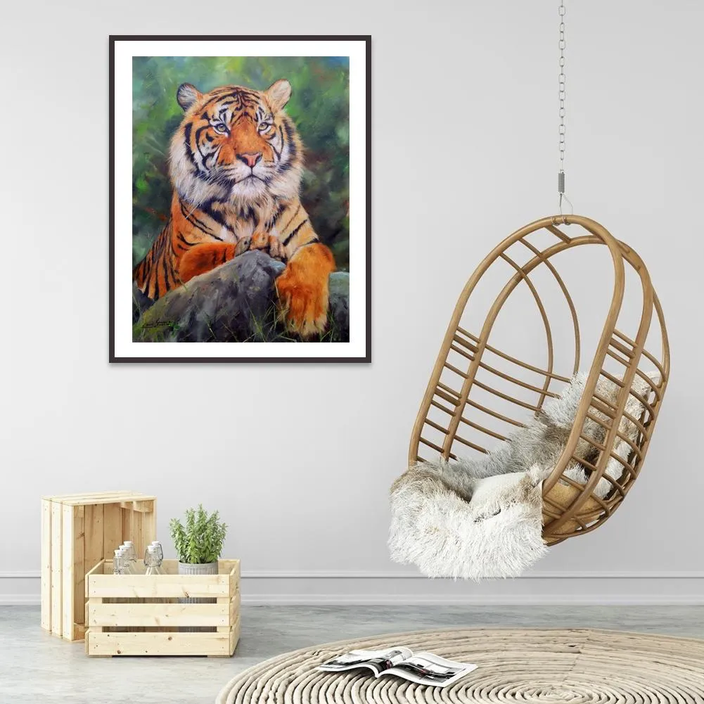Tiger  - Full Round Diamond - 30x40CM