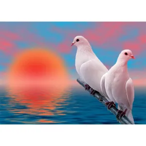 Two Pigeons Animal - Full Diamond Painting - 40x30cm